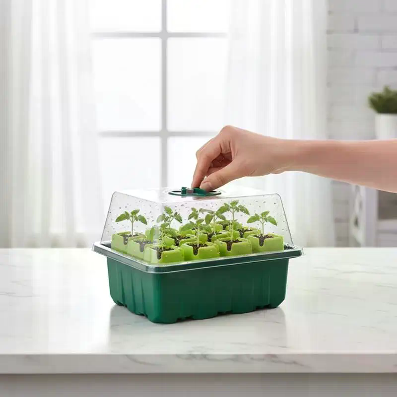 Propagation Tray Dome - Kit de Germinação com Bandeja para