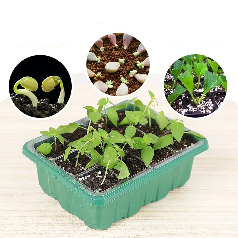 Propagation Tray Dome - 5 unidades de bandejas de germinação
