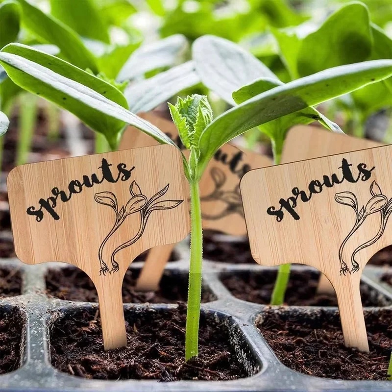 10-60 unidades de etiquetas de - Gardening Tools Types avaliação e preço