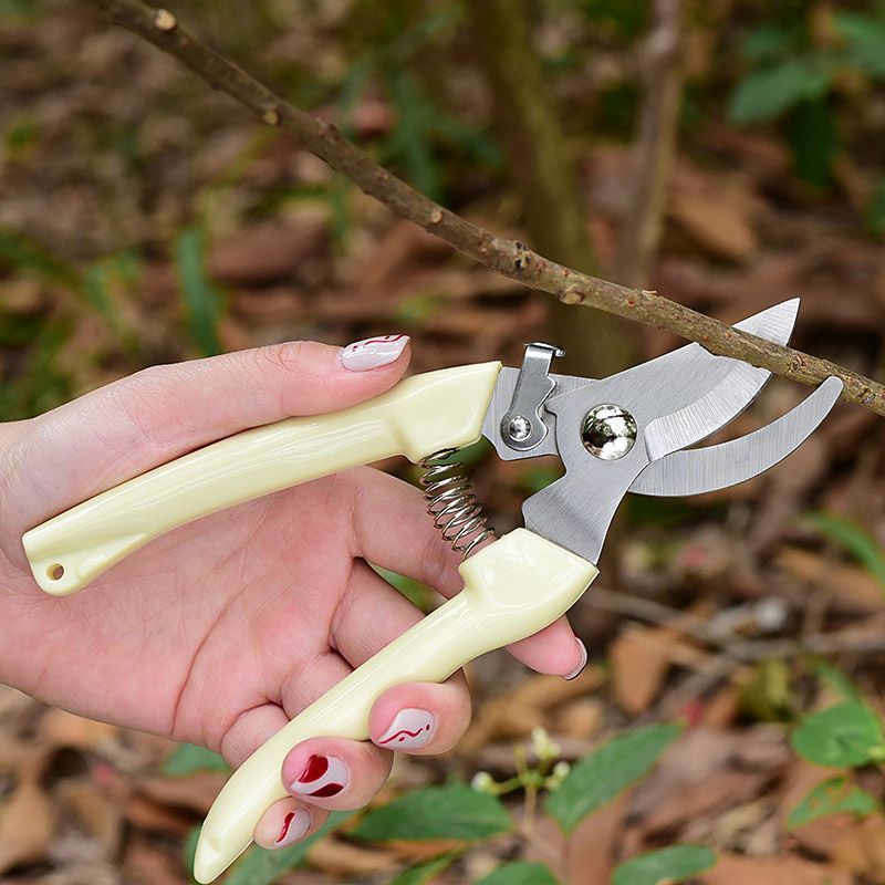 Tesoura de Poda para Jardim qu - Gardening Yard Tools avaliação e preço