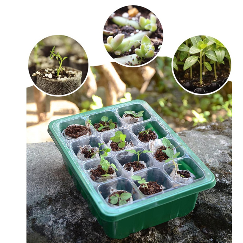 Bandeja inicial de sementes co - Propagation Tray Dome avaliação e preço